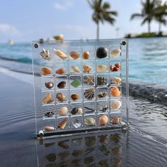 there are many shells in the cage on the table next to the water and palm trees