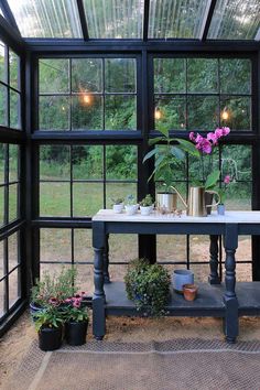 a table with potted plants on it in front of a glass walled room filled with windows