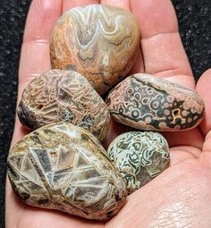 a hand holding four rocks in it's palm, with different patterns on them