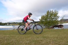 a person riding a bike with a dog running behind them in the grass near water