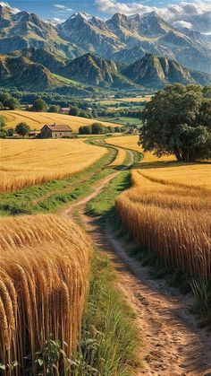 a dirt road in the middle of a wheat field with mountains in the back ground