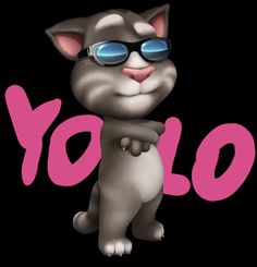 a cartoon cat wearing sunglasses with the word yolo written in pink on a black background