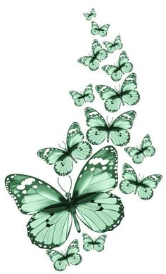 a group of green butterflies flying in the air with their wings spread out to look like they