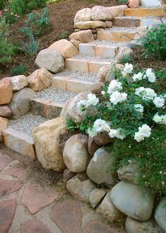 stone steps lead up to white flowers in the garden