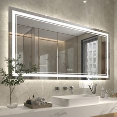 a bathroom with a large mirror above the sink and a potted plant on the counter