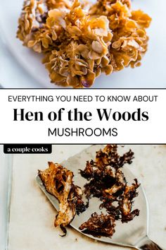 the words, everything you need to know about men of the woods mushrooms are shown