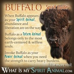 the buffalo spirit guide with an animal's face and words on it, in front of