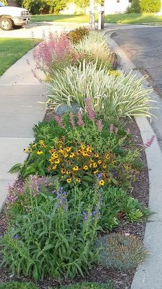 some flowers and plants are growing on the sidewalk