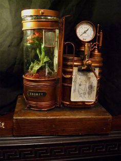 an old clock and some plants in a glass container