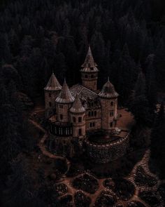 an aerial view of a castle in the woods