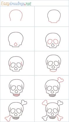 how to draw a skull with different angles and colors for children's art projects