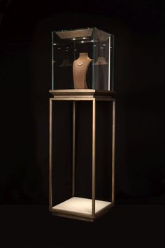 a glass display case with a mannequin on it's stand in the dark