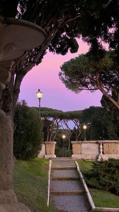 the steps lead up to an outdoor area with trees and lights on it at dusk