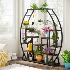 a room filled with lots of plants and potted plants on top of wooden shelves