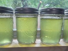 four jars filled with green liquid sitting on a window sill