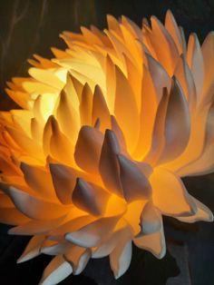 a large yellow flower sitting on top of a table