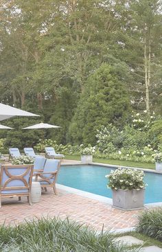 an outdoor pool with chairs and umbrellas next to the swimming pool surrounded by greenery