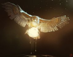 an owl is perched on top of a table with a light in it's claws