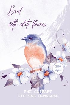 watercolor bird clipart png Cute Bird Clipart, Greeting Card Printable, Spring Illustration, Bird Clipart, Bird On Branch, Cute Birds