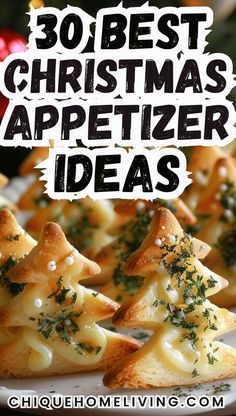 the best christmas appetizer ideas