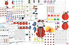 ladybugs and butterflies are shown in this printable activity pack for preschoolers