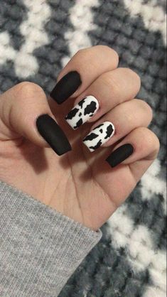 Short Acrylic Nails Square Western, Cowprint Nails Square, Cow Print Nails Black And White, Cowprint Sunflower Nails, Country Style Nails Ideas, Cow Themed Nails, Nail Ideas Cow Print, Punchy Nail Ideas, Cow Nail Ideas