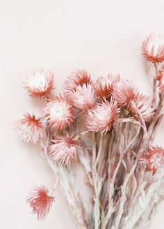 some pink flowers are in a vase on a table