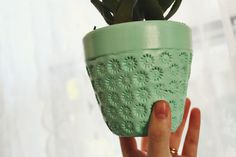 a hand holding a green potted plant in front of a window