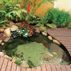 a fish pond surrounded by plants and rocks on a wooden decking area with red flowers in the center