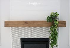 a fireplace with a plant growing on top of it and a white wall in the background