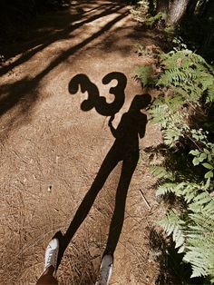 the shadow of a person standing on a dirt path in front of trees and bushes