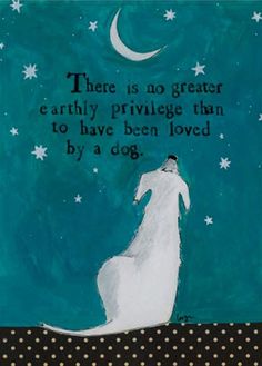 there is no greater earthly privlie than to have been loved by a dog