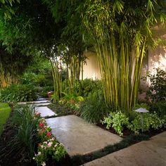 a garden with lots of plants and trees