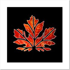 an orange and red leaf on black background