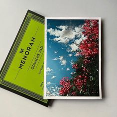 an open book with the title new york on it next to a photo of red flowers