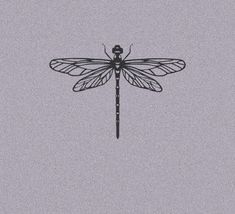 a black and white photo of a dragonfly on a gray background with the words, `