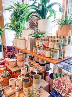 many potted plants are on shelves in a store