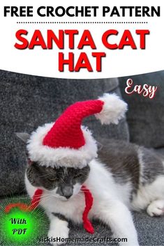 a gray and white cat wearing a santa hat with the text free crochet pattern