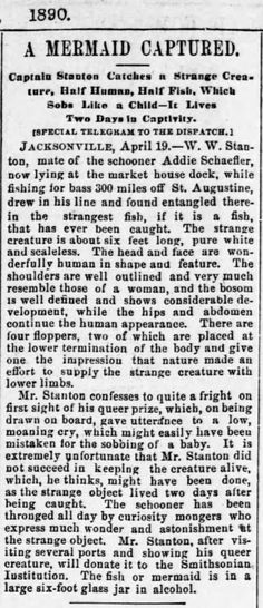 an old newspaper article with the caption for mermaid captured, which is in black and white