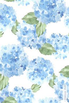 blue hydrangeas on white background with green leaves and watercolor style flowers in the center