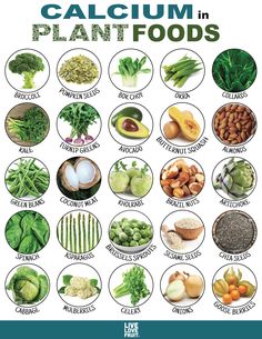 Calcium Rich Foods, Foods With Calcium, Resep Diet, Vegan Nutrition, Makanan Diet, Healing Food, Diet Keto, Food Facts, Plant Food