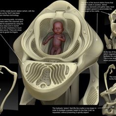 an image of the inside of a baby's inclosure and its attachments