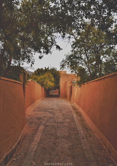 an alley way between two buildings with trees on either side and one building in the distance