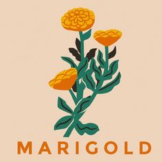 an orange and yellow flower with the words marigold on it's side