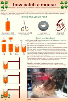 the instructions for how to catch a mouse in a glass jar with scissors and other items