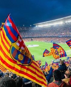 a stadium full of people with flags in the foreground and onlookers