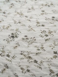 an area rug with small flowers and leaves on white groundcloth, close - up