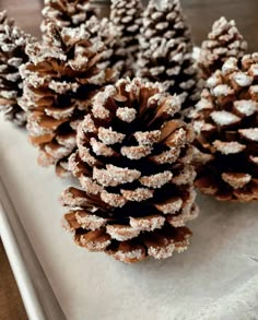 three pine cones covered in powdered sugar sit on a white tray next to each other