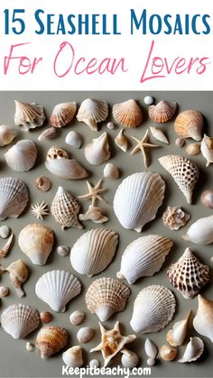 sea shells with text overlay that reads 15 seashell mosaics for ocean lovers