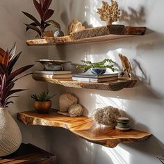 three wooden shelves with plants and books on them in a room next to a wall